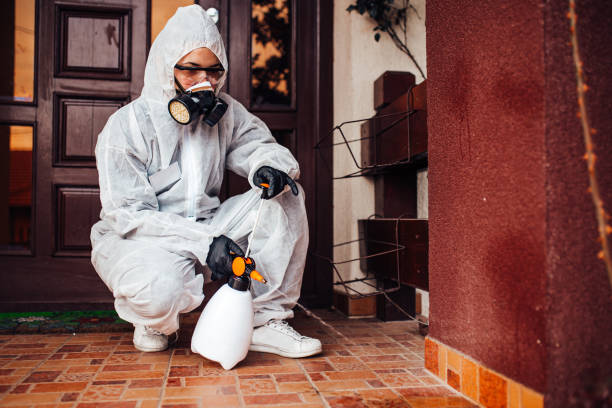 Reliable Cockroach Control contractor in Parshall, ND by Nex Pest Control